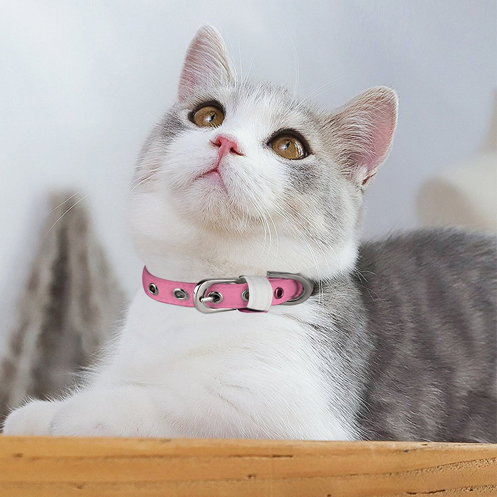 Sweet Society's: Super Collar